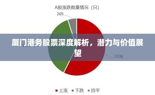 廈門(mén)港務(wù)股票深度解析，潛力與價(jià)值展望