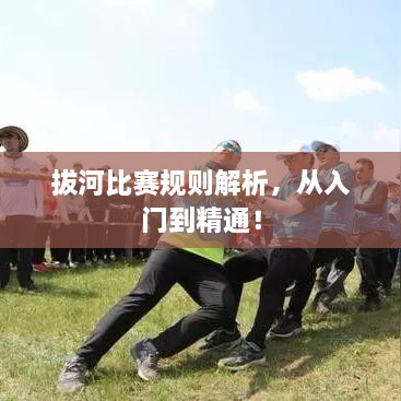 拔河比賽規(guī)則解析，從入門到精通！