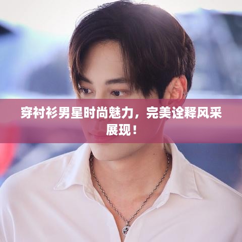 穿襯衫男星時尚魅力，完美詮釋風采展現(xiàn)！