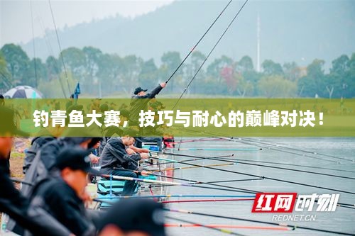 釣青魚大賽，技巧與耐心的巔峰對決！