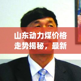 山東動力煤價格走勢揭秘，最新行情分析報告