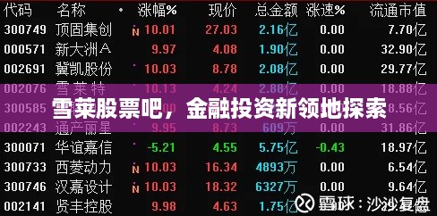 雪萊股票吧，金融投資新領(lǐng)地探索