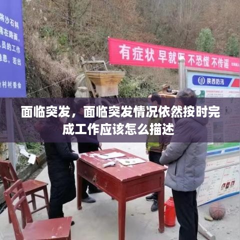 面臨突發(fā)，面臨突發(fā)情況依然按時完成工作應該怎么描述 