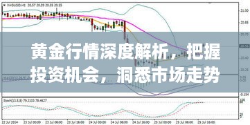 黃金行情深度解析，把握投資機會，洞悉市場走勢