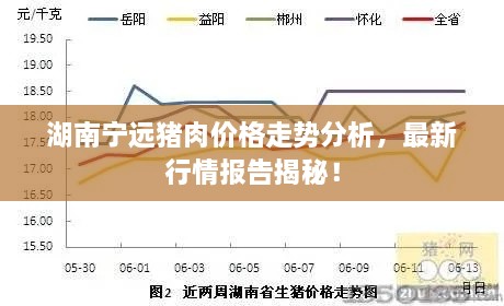 湖南寧遠(yuǎn)豬肉價(jià)格走勢(shì)分析，最新行情報(bào)告揭秘！