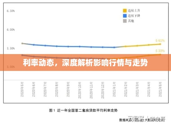 利率動態(tài)，深度解析影響行情與走勢