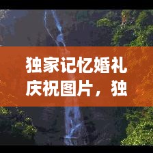 獨(dú)家記憶婚禮慶祝圖片，獨(dú)家記憶圖片唯美 