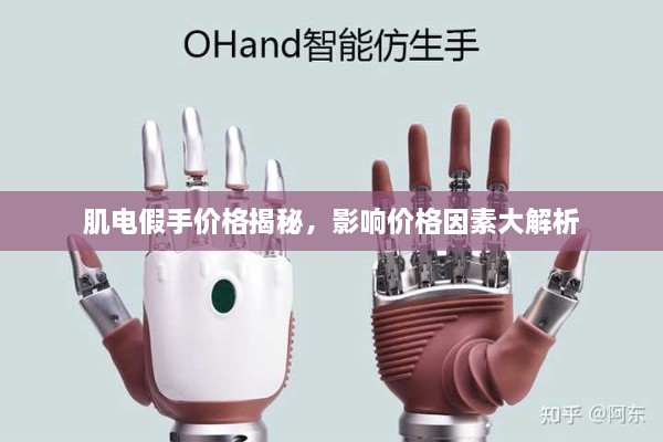 肌電假手價(jià)格揭秘，影響價(jià)格因素大解析