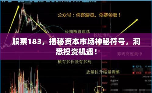 股票183，揭秘資本市場(chǎng)神秘符號(hào)，洞悉投資機(jī)遇！