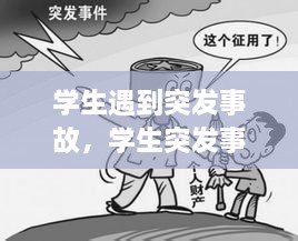 學生遇到突發(fā)事故，學生突發(fā)事件的處理原則 