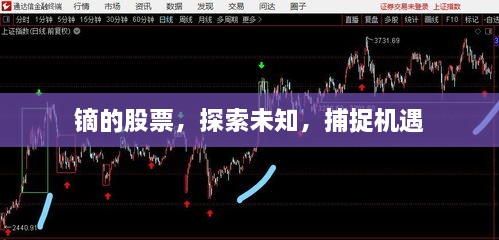 鏑的股票，探索未知，捕捉機(jī)遇