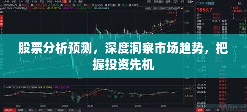 股票分析預(yù)測，深度洞察市場趨勢，把握投資先機(jī)