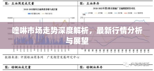 喹啉市場走勢深度解析，最新行情分析與展望