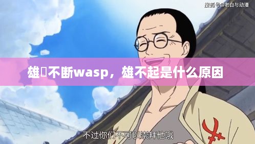 雄獣不斷wasp，雄不起是什么原因 