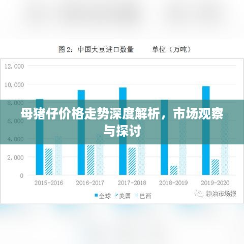 母豬仔價(jià)格走勢深度解析，市場觀察與探討