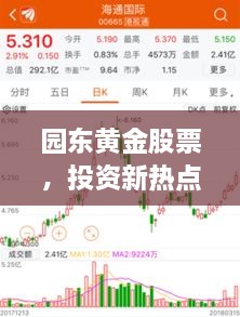園東黃金股票，投資新熱點(diǎn)，財(cái)富新選擇
