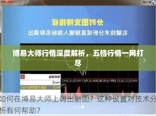 博易大師行情深度解析，五檔行情一網(wǎng)打盡