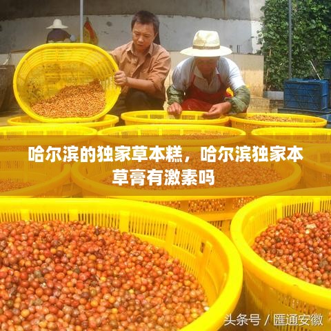 哈爾濱的獨(dú)家草本糕，哈爾濱獨(dú)家本草膏有激素嗎 
