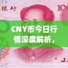 CNY幣今日行情深度解析，最新價格動態(tài)一網(wǎng)打盡！