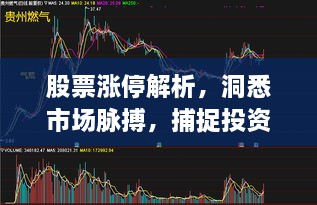 股票漲停解析，洞悉市場(chǎng)脈搏，捕捉投資黃金機(jī)會(huì)