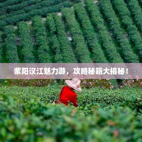 紫陽(yáng)漢江魅力游，攻略秘籍大揭秘！