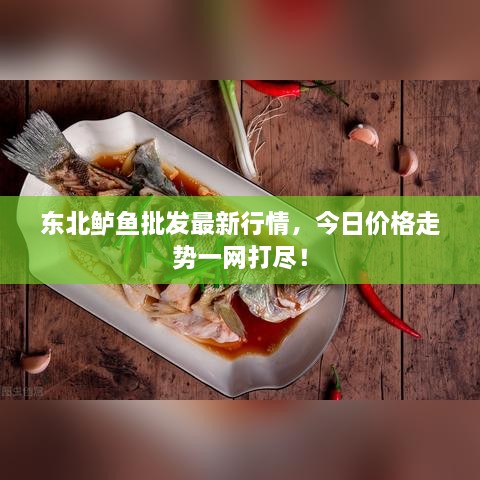 東北鱸魚批發(fā)最新行情，今日價(jià)格走勢一網(wǎng)打盡！