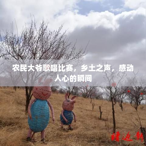 農(nóng)民大爺歌唱比賽，鄉(xiāng)土之聲，感動人心的瞬間