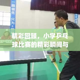 精彩回顧，小學(xué)乒乓球比賽的精彩瞬間與收獲總結(jié)