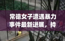 常德女子遭遇暴力事件最新進(jìn)展，持續(xù)關(guān)注被打女子最新消息