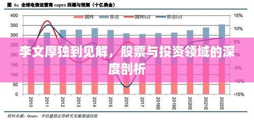 李文厚獨到見解，股票與投資領(lǐng)域的深度剖析
