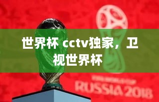 世界杯 cctv獨(dú)家，衛(wèi)視世界杯 