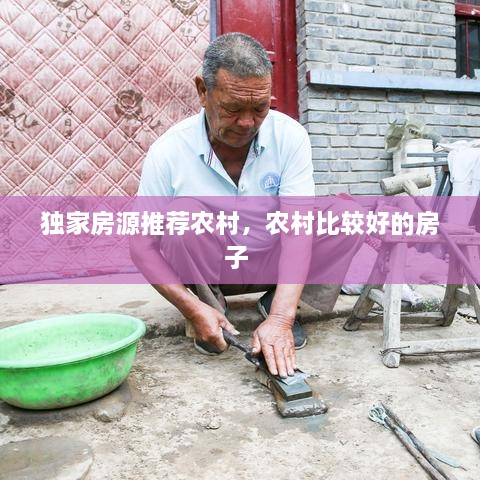 獨家房源推薦農(nóng)村，農(nóng)村比較好的房子 