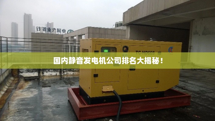 國內(nèi)靜音發(fā)電機(jī)公司排名大揭秘！