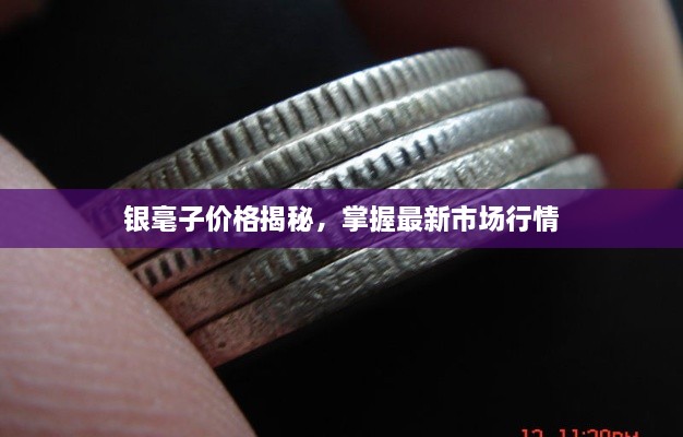 銀毫子價格揭秘，掌握最新市場行情