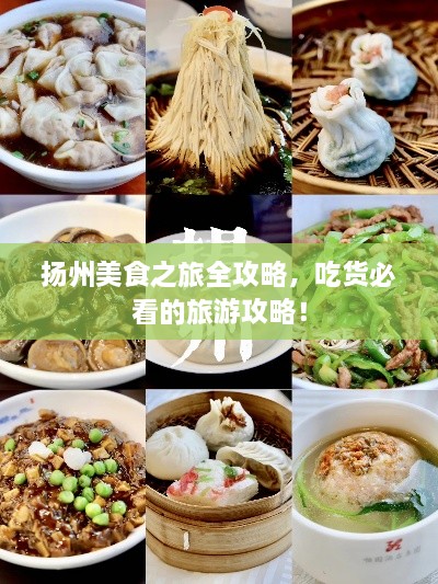 揚州美食之旅全攻略，吃貨必看的旅游攻略！