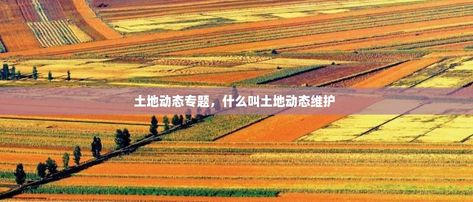 土地動態(tài)專題，什么叫土地動態(tài)維護 
