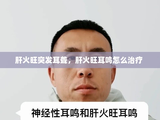 肝火旺突發(fā)耳聾，肝火旺耳鳴怎么治療 
