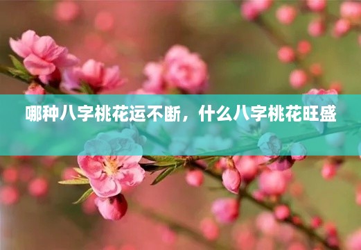哪種八字桃花運不斷，什么八字桃花旺盛 