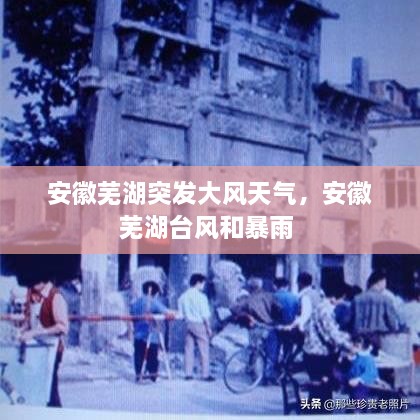 安徽蕪湖突發(fā)大風天氣，安徽蕪湖臺風和暴雨 