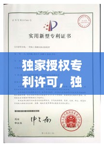 獨(dú)家授權(quán)專利許可，獨(dú)家專利什么意思 