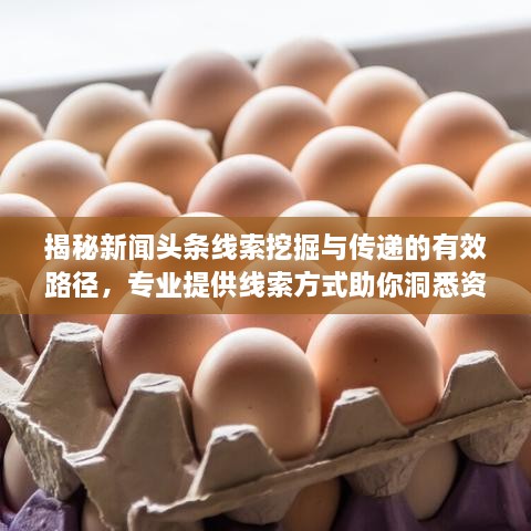 揭秘新聞?lì)^條線索挖掘與傳遞的有效路徑，專業(yè)提供線索方式助你洞悉資訊動態(tài)