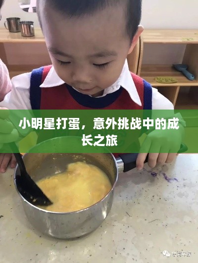 小明星打蛋，意外挑戰(zhàn)中的成長之旅