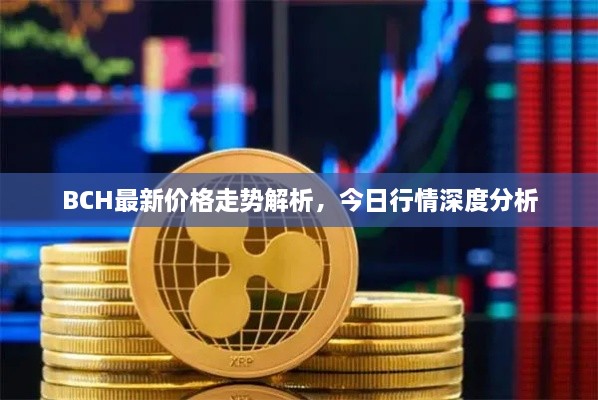 BCH最新價(jià)格走勢解析，今日行情深度分析