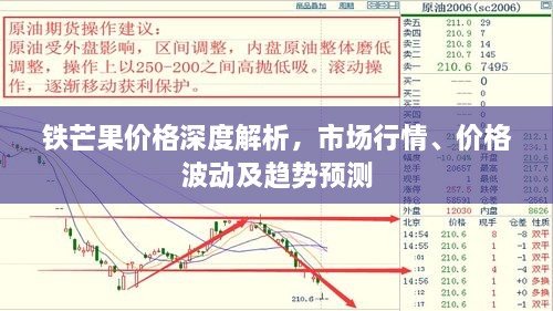 鐵芒果價格深度解析，市場行情、價格波動及趨勢預(yù)測