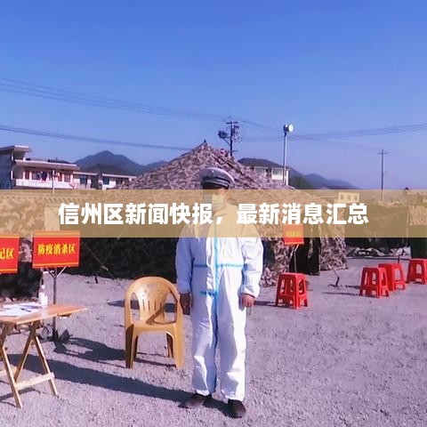 信州區(qū)新聞快報，最新消息匯總