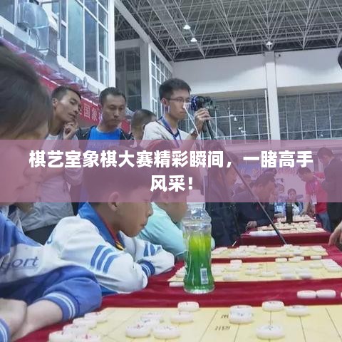 棋藝室象棋大賽精彩瞬間，一睹高手風(fēng)采！