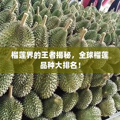 榴蓮界的王者揭秘，全球榴蓮品種大排名！
