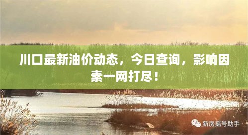 川口最新油價動態(tài)，今日查詢，影響因素一網(wǎng)打盡！