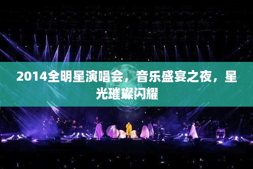 2014全明星演唱會(huì)，音樂盛宴之夜，星光璀璨閃耀