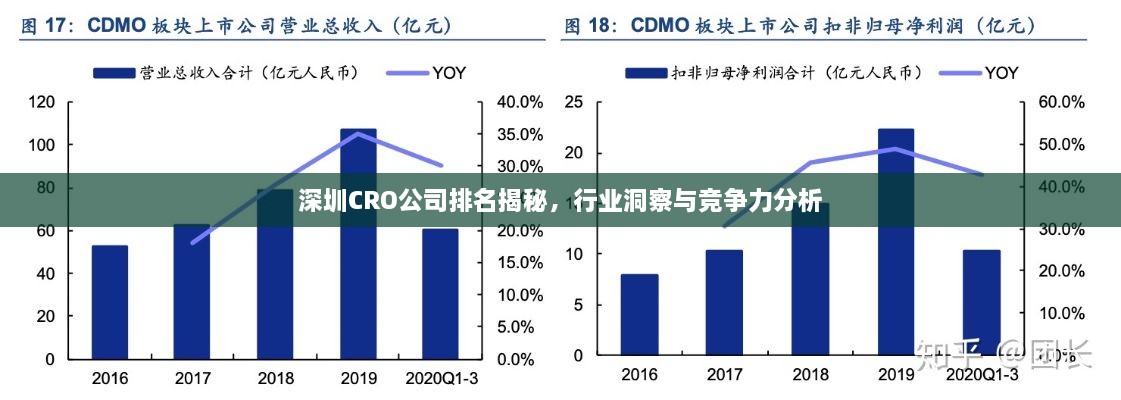 深圳CRO公司排名揭秘，行業(yè)洞察與競(jìng)爭(zhēng)力分析
